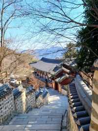 부산의 숨겨진 산속 사찰🌿🏯