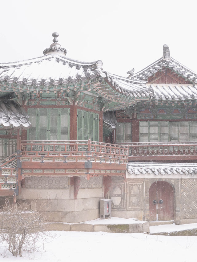 낭만적인 흰 눈이 내리면 가야되는 서울 설경 명소“창덕궁”