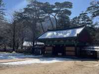 충북 보은에서 만난 유네스코 유산 법주사