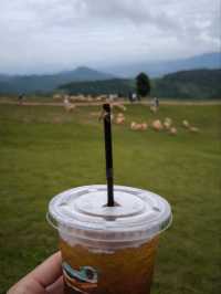 Akha Farmville, Chiang Rai: An immersive cultural retreat in the mountains