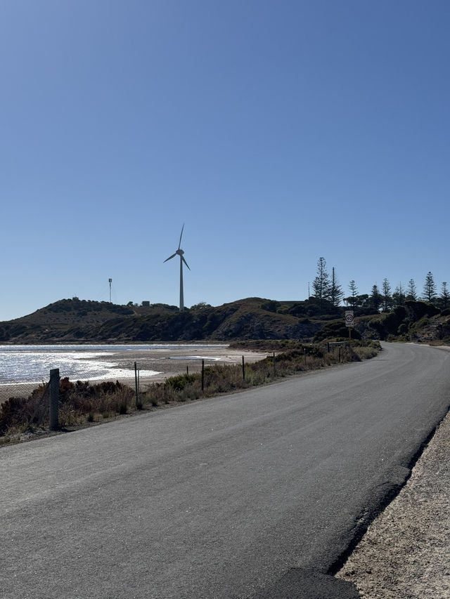 Rottnest Island Cycling Guide