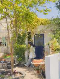 ๋ชฉํฅ์ฅ๋ฏธ ์ ์์ด ๋๋ฌด ์์ ๊ฒฝ์ฃผ์ ์นดํ๐