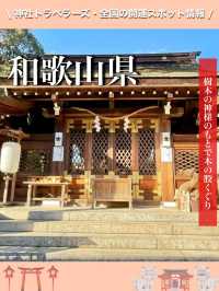 【和歌山県】樹木の神様のもとで木の股くぐり