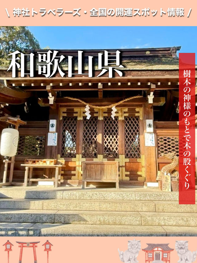 【和歌山県】樹木の神様のもとで木の股くぐり
