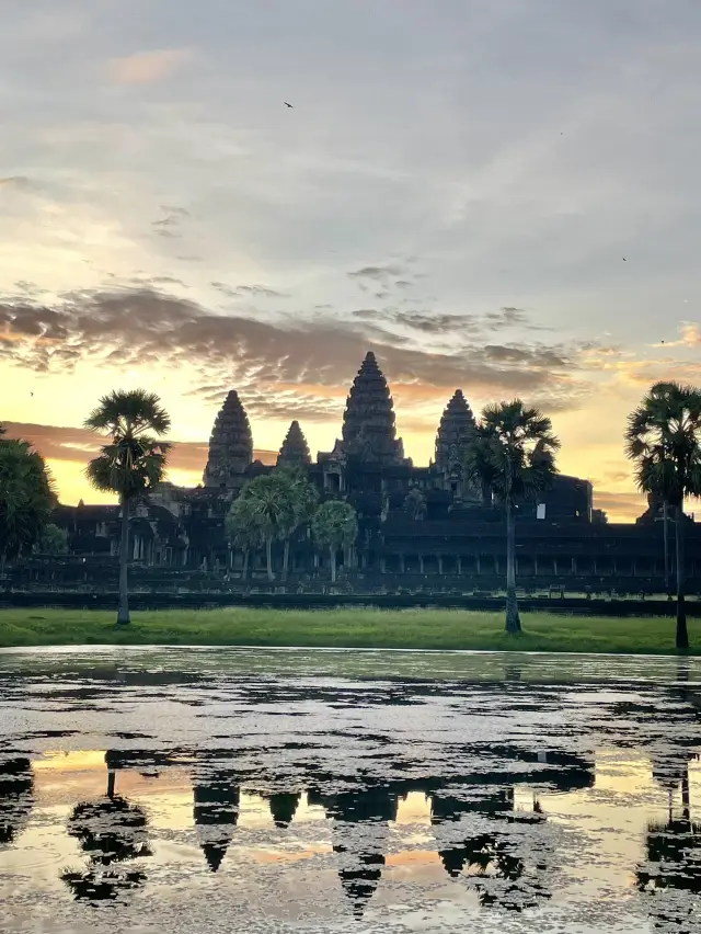 【カンボジア】夢のアンコールワット🇰🇭