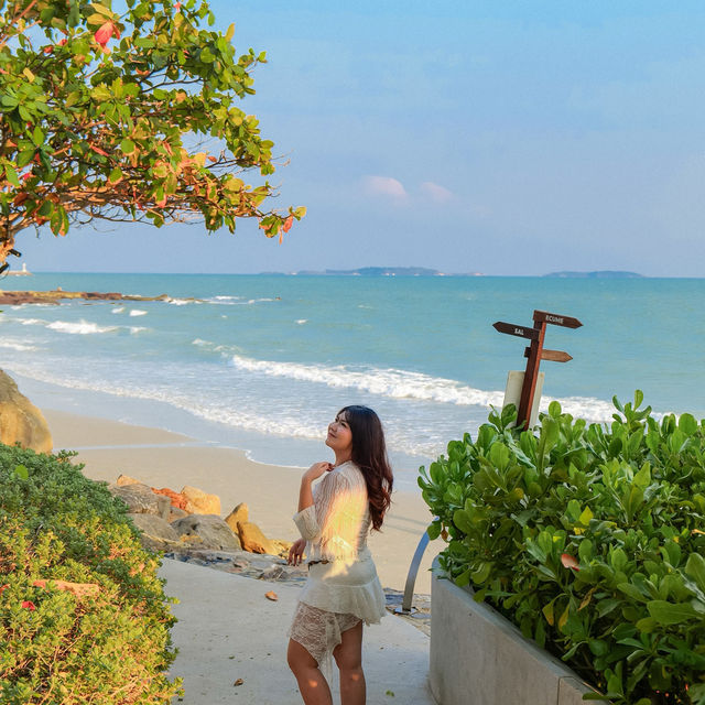 🌊🌴ซัมเมอร์นี้ที่ Mercure Rayong Lomtalay 🌊🌴ซัมเมอร์นี้ที่ Mercure Rayong Lomtalay