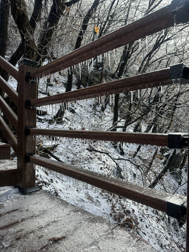 청계산 갔다가 겨울왕국 체험함…☃️🌿