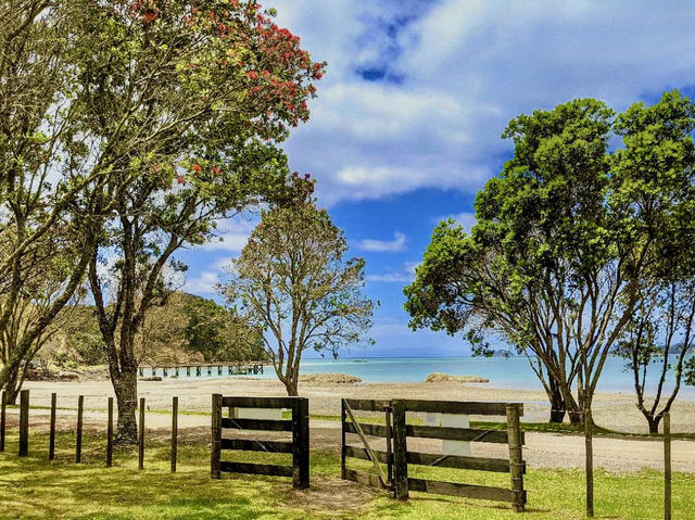 Springtime on Waiheke: Man O' War Vineyards