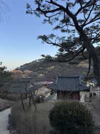 신비로운 자연과 역사가 공존하는 강화도 당일치기 여행