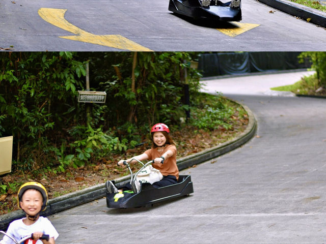 ✈️ A Short Getaway to Singapore with Skyline Luge & City Vibes🌆