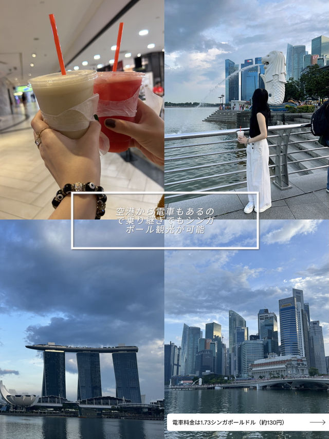 世界最高の空港•シンガポール•チャンギ国際空港🇸🇬
