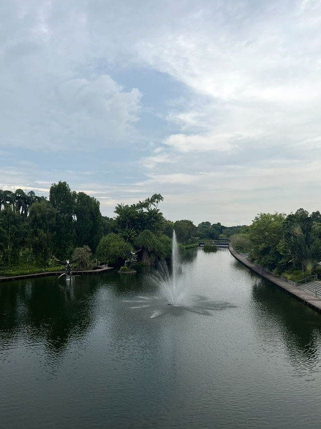 Gardens by the Bay 🌳สวนสุดอลังการในสิงคโปร์