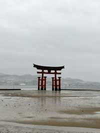 ⛩️ ✅厳島神社（Itsukushima Shrine）攻略ガイド 🦌