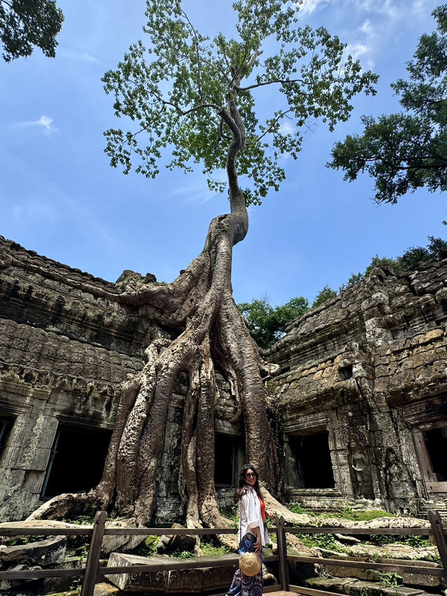 The Enigmatic Ta Prohm Temple: A Tomb Raider Adventure in Siem Reap