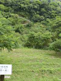 台北遊｜平溪線上的礦山記憶｜菁桐老街漫遊🚂