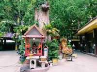 泰國曼谷市中心湄南河畔著名古跡皇家寺廟景點：Wat Pha Si，百年歷史古跡寺廟，適合打卡拍照📸冥想