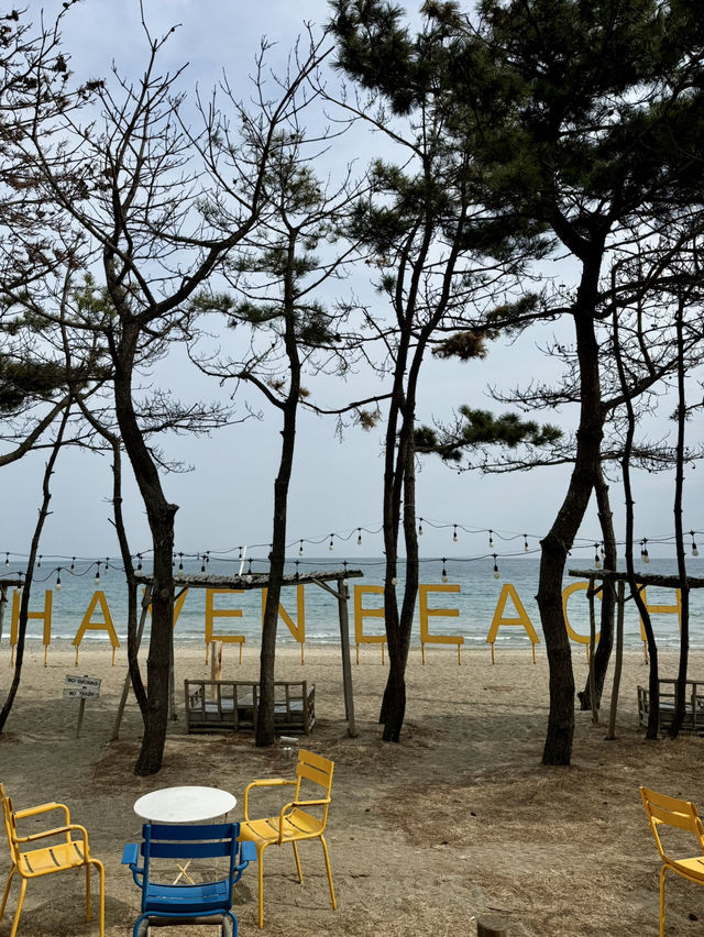 포항_카페 더 헤이븐 #감성카페