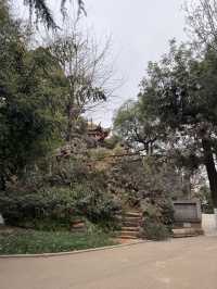 Kunming Zoo จุดชมดอกไม้บาน