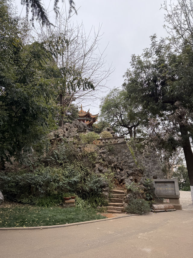 Kunming Zoo จุดชมดอกไม้บาน