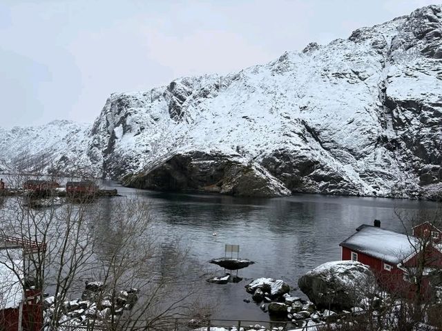 Nusfjord 走訪挪威最古老的百年漁村---努斯峽灣村