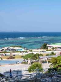 美ら海水族館 – 世界屈指の大水槽を体感🐠🌊