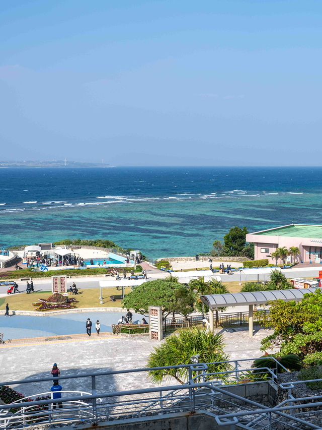 美ら海水族館 – 世界屈指の大水槽を体感🐠🌊