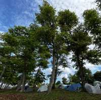 West Coast Park Singapore: Camp, Jog, Fish & Play – Your Ultimate Family Weekend Playground! 🏕️⚾