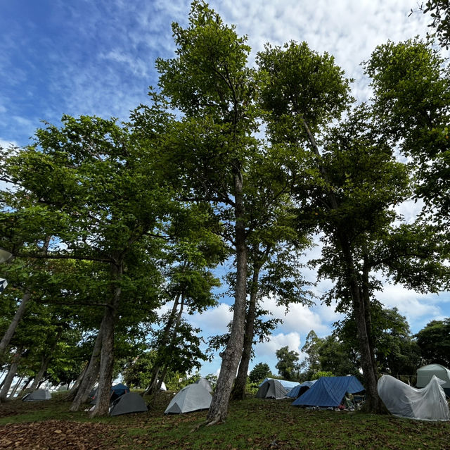West Coast Park Singapore: Camp, Jog, Fish & Play – Your Ultimate Family Weekend Playground! 🏕️⚾