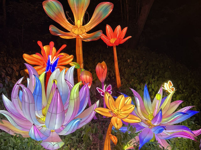 Guangzhou Lantern Festival CN tower tulip garden and 3D ad