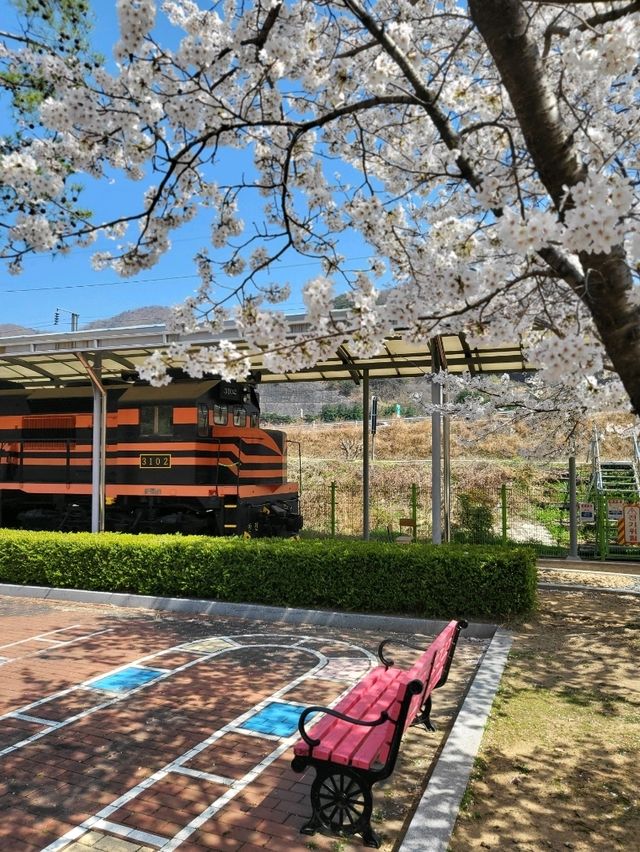 조용하고 한적한 청도 봄꽃여행지