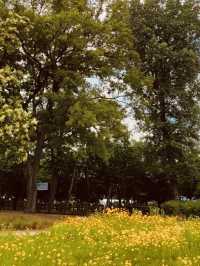 The Green Promise: Dasan Park's Spring Pledge of Rebirth 