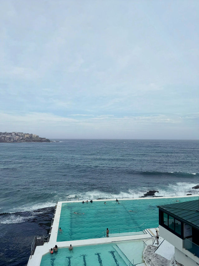 🇦🇺Bondi Beach✨據說是悉尼最美的海灘✨