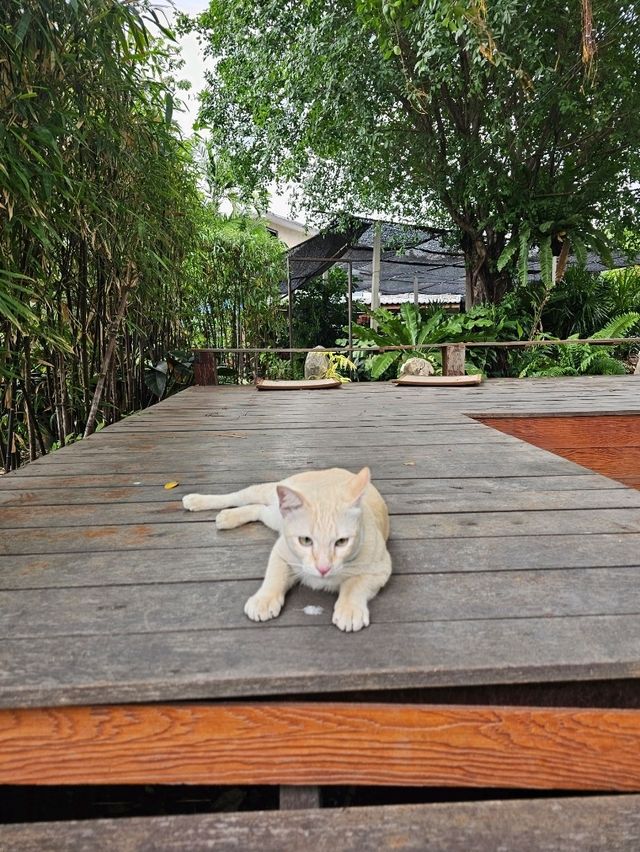Flourist matchahouse Cafe | ปทุมธานี
