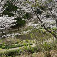 【山口県下関市🇯🇵長府庭園】歴史に触れながら庭園散歩☺️
