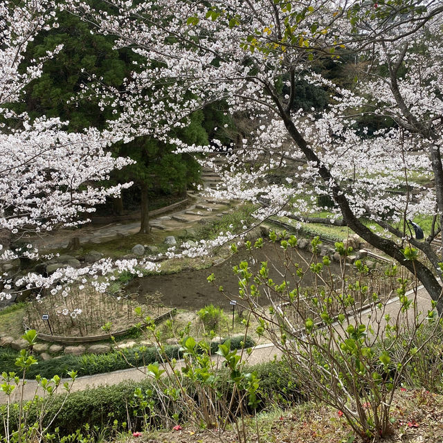 【山口県下関市🇯🇵長府庭園】歴史に触れながら庭園散歩☺️