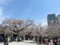 東別院站市集&賞櫻🌸