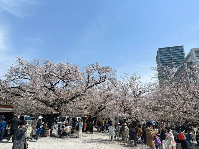 東別院站市集&賞櫻🌸