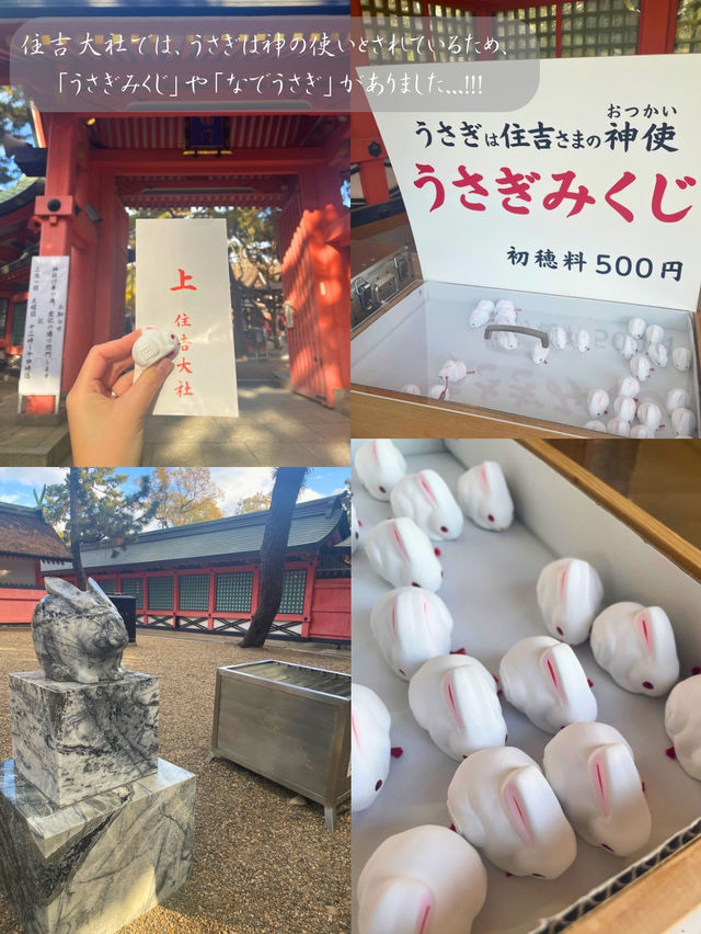 刺繍の御朱印とうさぎみくじ🐇がかわいい⛩️パワースポット