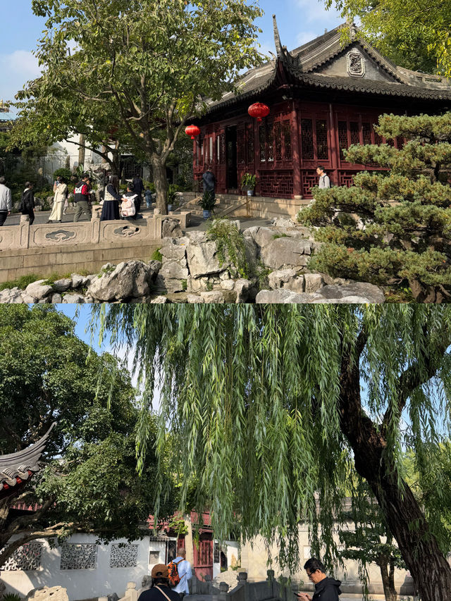 🇨🇳삥삥 돌다가 들어간 예원