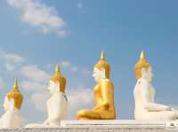 วัดพระวรราชาทินัดดามาตุ 
