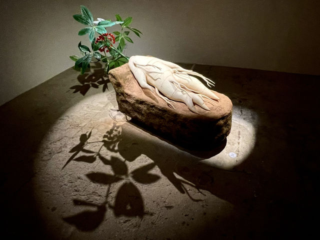 油街實現的有趣展覽