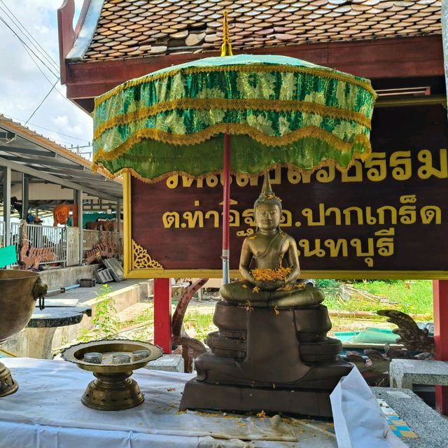 พามาขอพร หลวงพ่อดำ วัดแสงสิริธรรม จังหวัดนนทบุรี