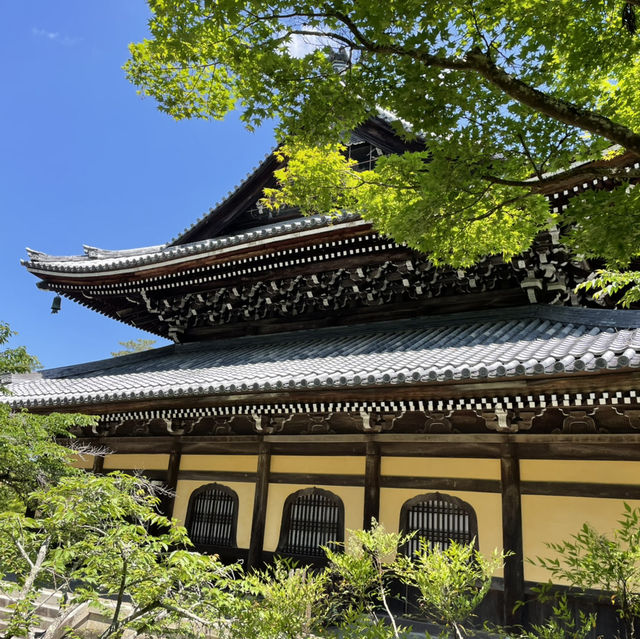 【京都】境内全体が国の遺跡 見どころがいっばい！