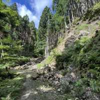 🌲【木梶山】⛰️ まつさかイレブン