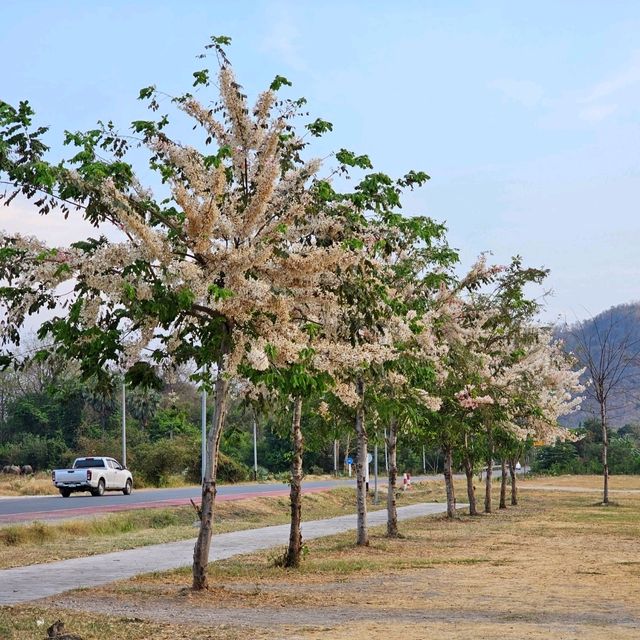 หาดทรายเทียมอ่างซับเหล็ก