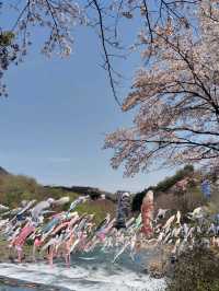【材木岩公園】国の天然記念物「材木岩」の造形美