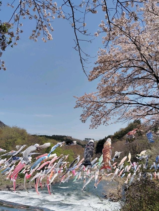 【材木岩公園】国の天然記念物「材木岩」の造形美