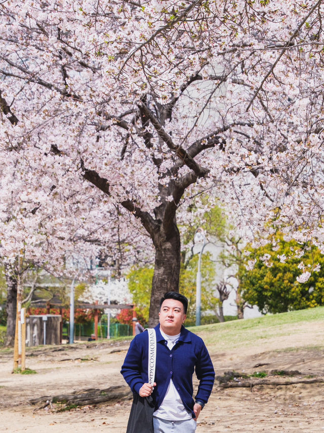 Ogimachi Park in April: A Riot of #aprilblooms! 🌸🌷🌼