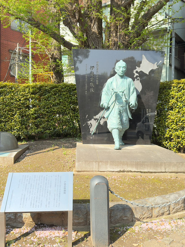 東京｜富岡八幡宮的櫻花風情