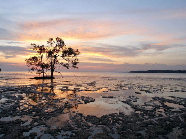 Tanjung Emas Park: Where JB’s Sunset Paint Parties & Laksa Picnics Collide🌅🍜